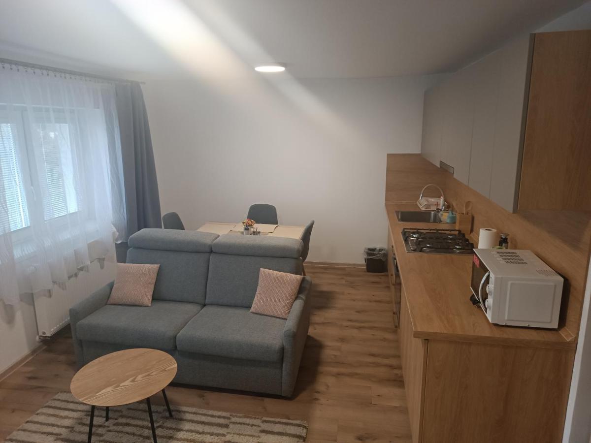 Apartmány Vila Juraj Trenčianske Teplice Esterno foto